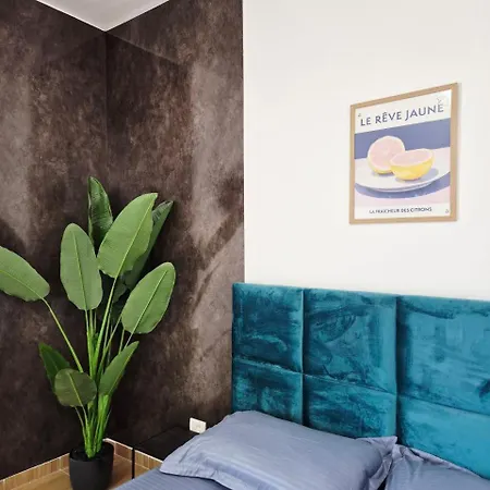 Classik 401 دراس